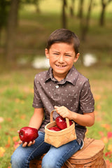 Tween Boys Polo Shirt - Espresso