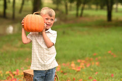Tween Boys Polo - Cafe Gingham