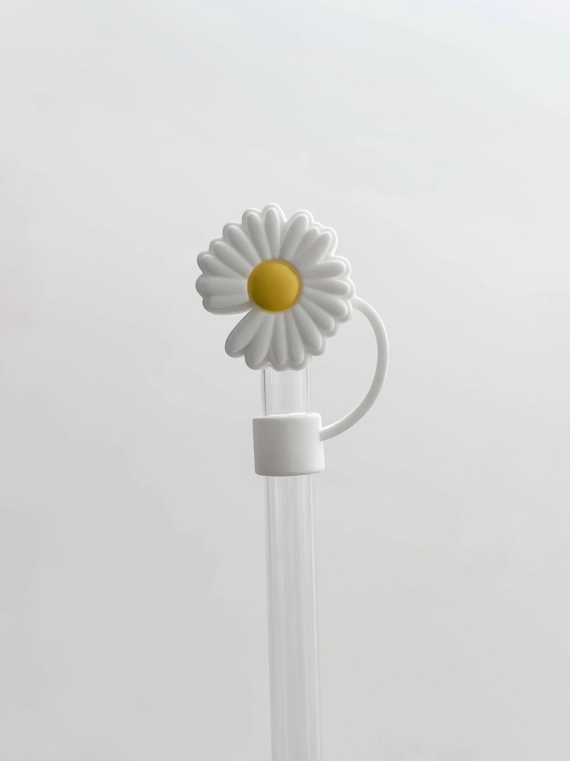 Silicone Straw Toppers