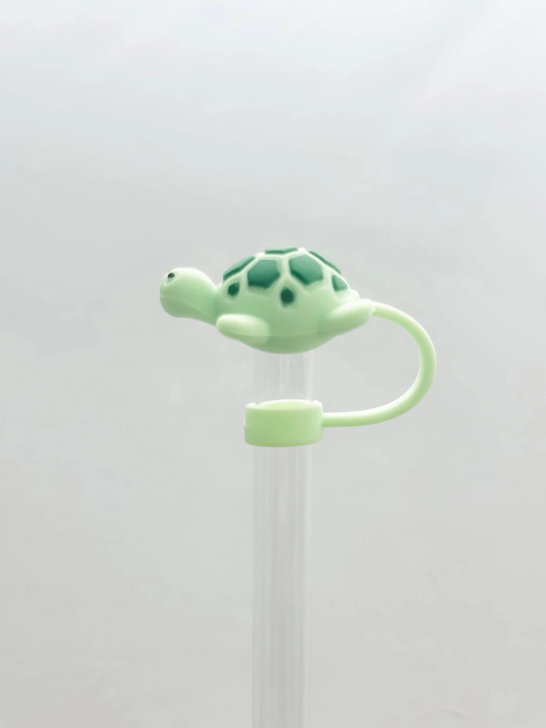 Silicone Straw Toppers